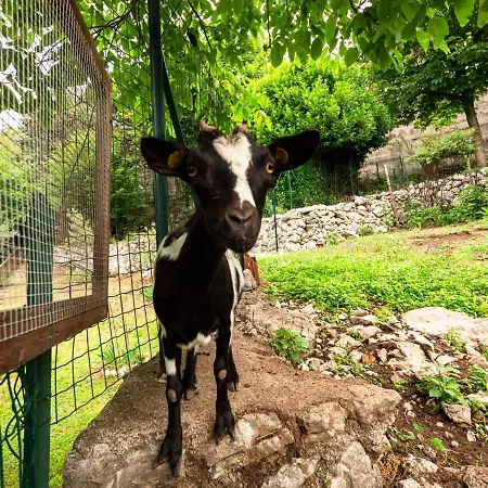 Apartamento Margherita-2 By Interhome *