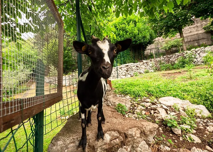 Apartman Margherita-2 By Interhome *